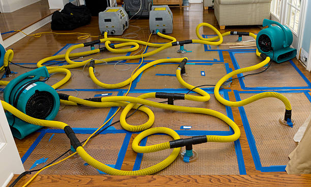 Professional Flood Damage Restoration technician working in Silver Plume, CO